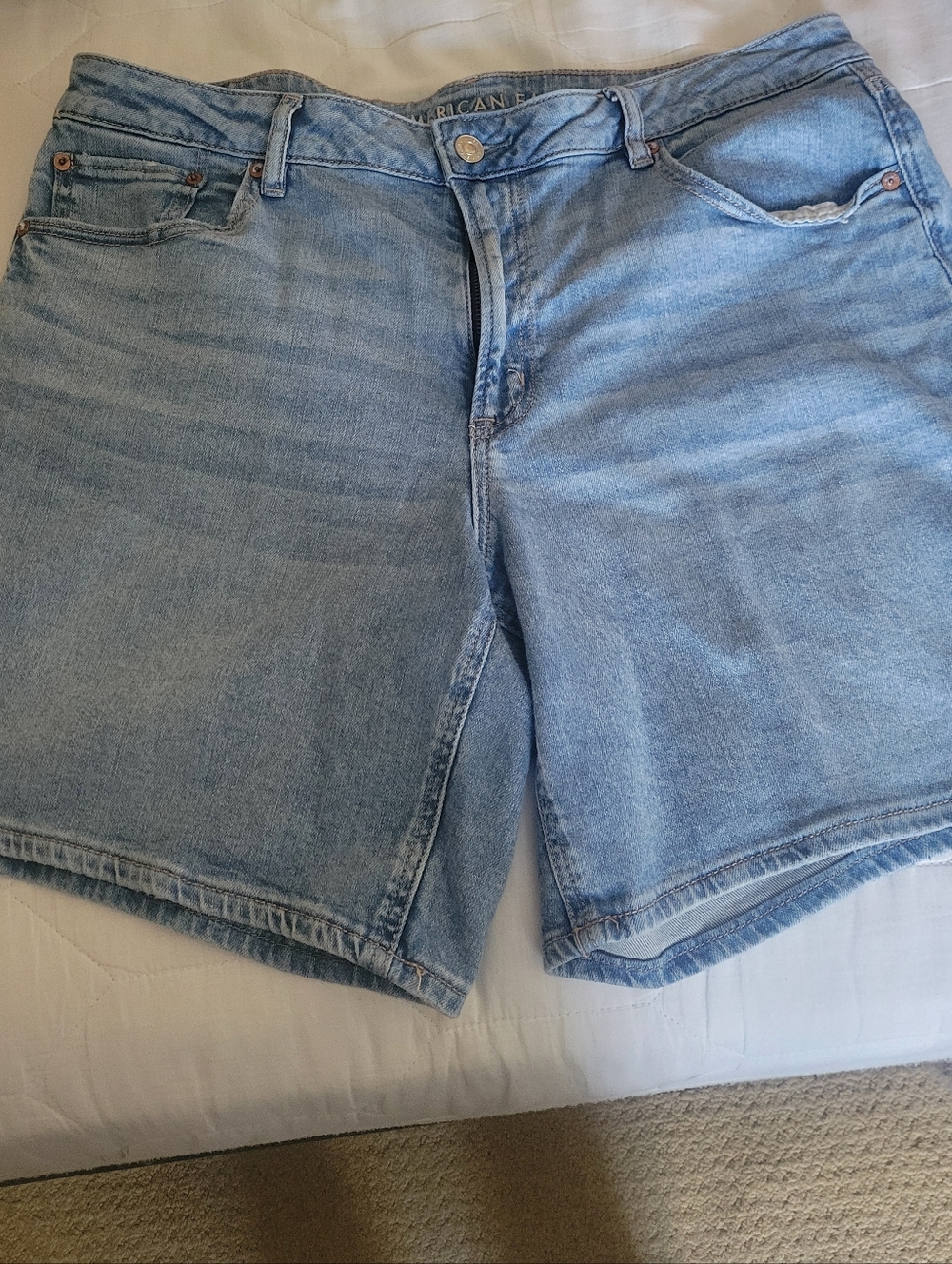 American Eagle Outfitters Light Blue Denim Jean Shorts